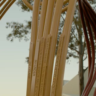 ‘Timeflows’ showcases a visual representation of living culture.  Residing near the new Disability Sports Centre in Blacktown, the collaborative artwork highlights the long-standing history of Ngurra (Dharug Country), each form of it speaking to a different era.  The connection of strands illustrating each contour of sediment and relaying the multitude of stories the land holds.  Sitting above wide pathways for walking, bikes and taking a breath, it's a beautiful spot to reflect.  Created by Dharug artist Shay Tobin, alongside Chris Fox and Michael Cohen.  Artwork design detailing, manufacturing and installation by @forge.outdoorsau 
@blacktowncitycouncil @citypeoplesydney @shaytobin @studiochrisfox @foxyalot  #BlacktownArts #BlacktownCityCouncil #Timeflows #Artwork #Launch #DisabilitySportsCentre  --- 
Images: Artwork by Michael Cohen, Chris Fox and Shay Tobin, 'Timeflows', photos 1 and 2 by Shay Tobin. Photo 3 by Dayvis Heyne  ID: Each image showcases different parts of the large-scale artwork, with close ups and in the trees